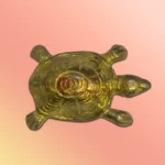 Brass Tortoise