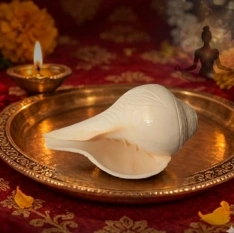 Shankh