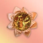 Asana Golden Pink Lotus Shaped
