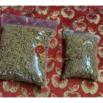 Mustard Seed Yellow - Image 8