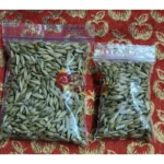 Jau Sabut / Barley Seeds - Image 3