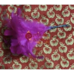 Feather Kalangi for Krishna - Image 2