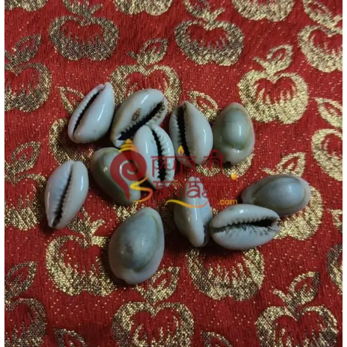 White Kaudi/Kori for Pooja - Image 4