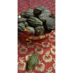havan herbs