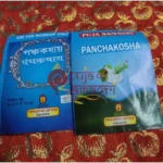 Panchakosha - Image 4