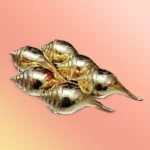 Silver-Gold Plated Shankh Set