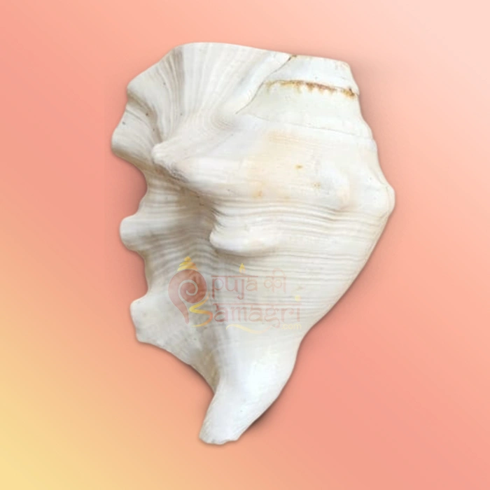 Shankh 1