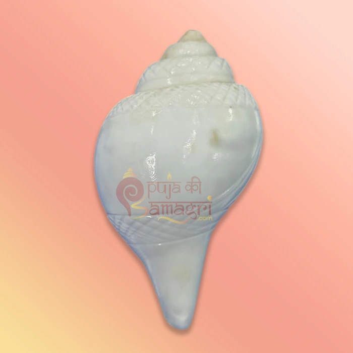 Shankh-14