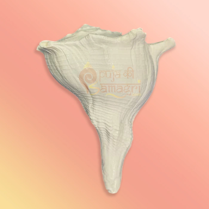 Shankh-16