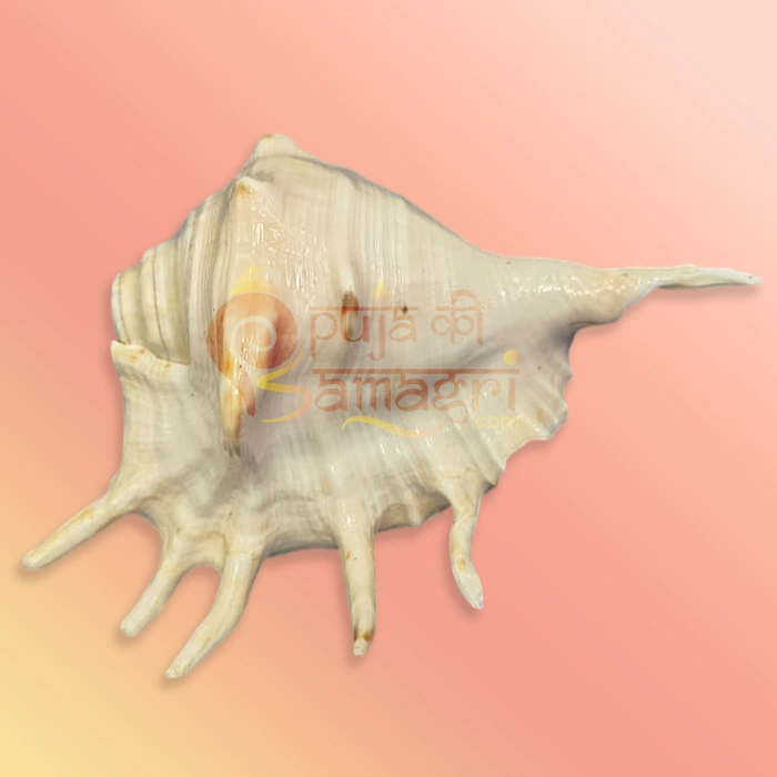 Shankh-18