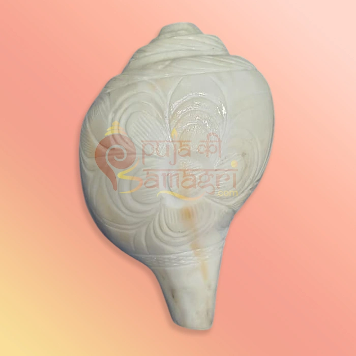 Shankh-20