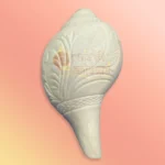 Shankh-21