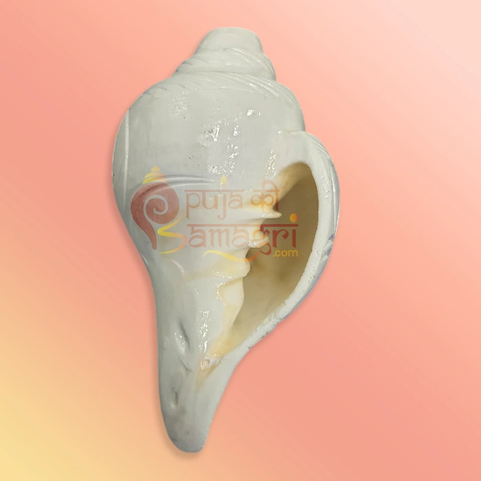Shankh-21