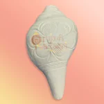 Shankh-22-gallery1