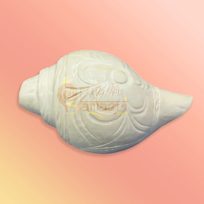 Shankh-23