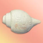 Shankh-25-gallery1