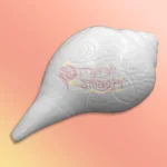 Shankh 27