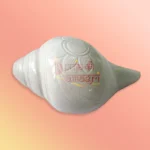 Shankh-28