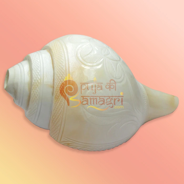 Shankh-30