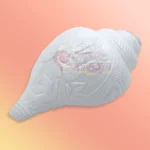 Shankh 33