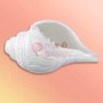 Shankh-33-gallery4