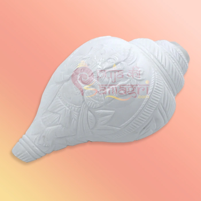 Shankh 33
