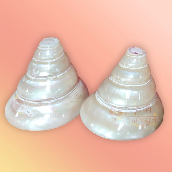 Shankh 4
