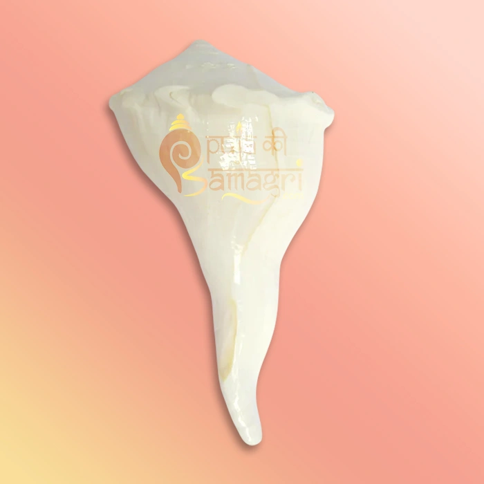 Shankh-40