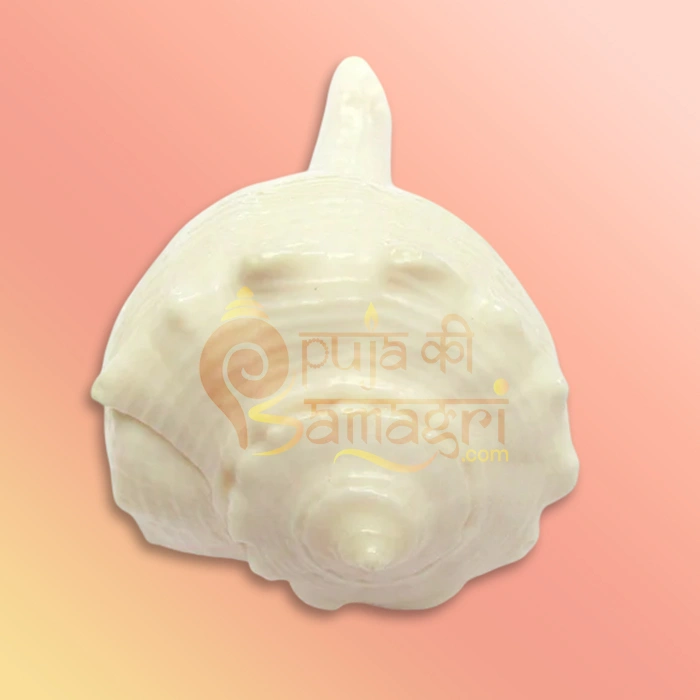 Shankh-43