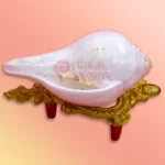 Shankh-44-gallery2