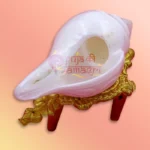 Shankh-45-gallery2