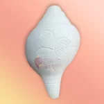 Shankh 5