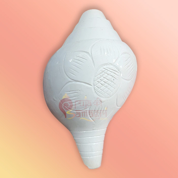Shankh 5