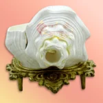 Shankh-50-gallery1