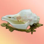 Shankh-50-gallery4