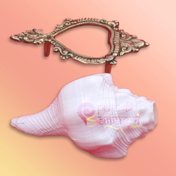 Shankh 51