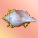 Shankh-52-gallery1