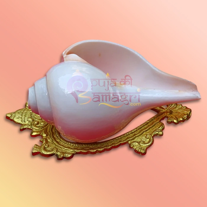 Shankh-52-gallery3