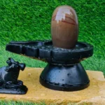 Narmadeshwar Shivling