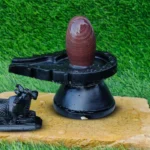 Original Narmadeshwar Shivling