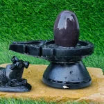 Narmadeshwar Shivling For Daily Home Pooja