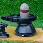 Narmada Shivling Jaladhari