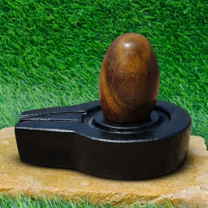 Original Narmadeshwar Shivling & Jaladhari
