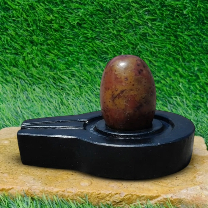 Brown Narmadeshwar Shivling