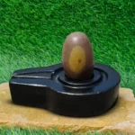 Original Narmadeshwar Shivling Stone for Puja