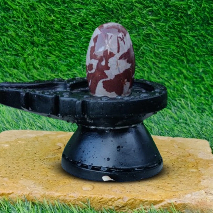 Natural Brown Marble Narmada Lingam