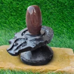 Narmada Shiva Linga