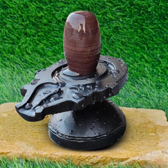 Narmadeswar Stone Narmada Shiva Lingam
