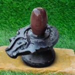 Narmadeshwar Shivling with a Jaladhari base