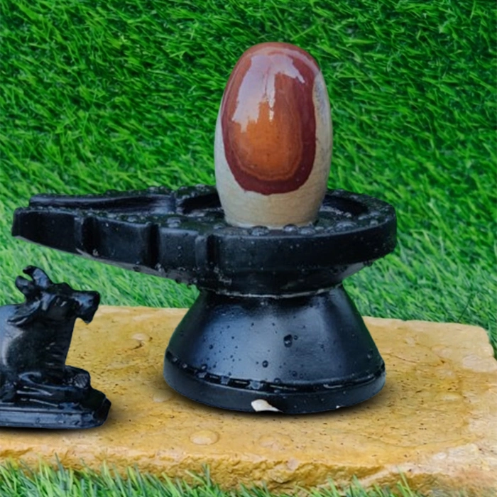 Unique Narmadeshwar Shivling Unique Narmadeshwar Shivling